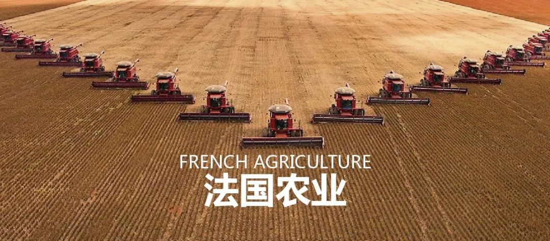 法国农业：欧盟农业大国，，，，，，靠这6大战略制胜市场